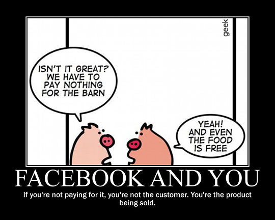 funny-Facebook-pigs-talking