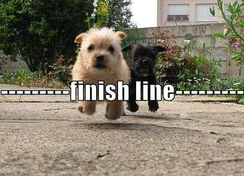finish-line